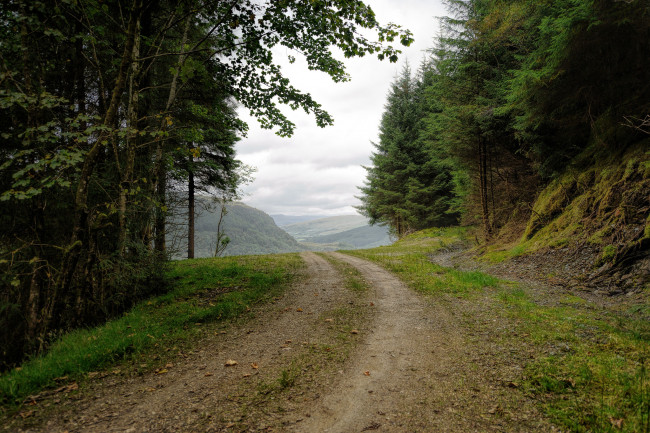 Обои картинки фото природа, дороги, простор