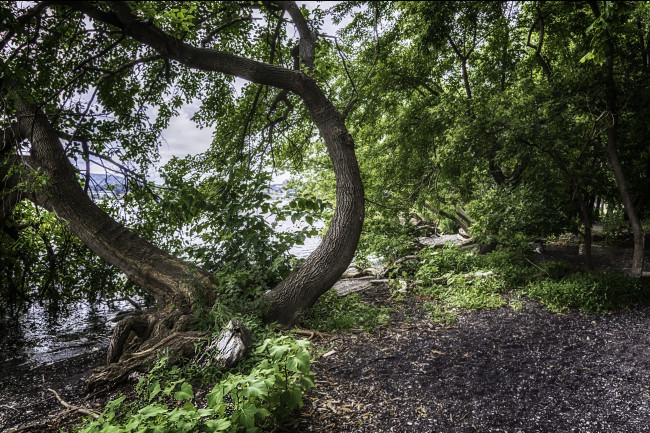 Обои картинки фото природа, реки, озера, простор