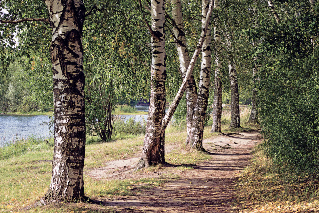 Обои картинки фото природа, дороги, простор