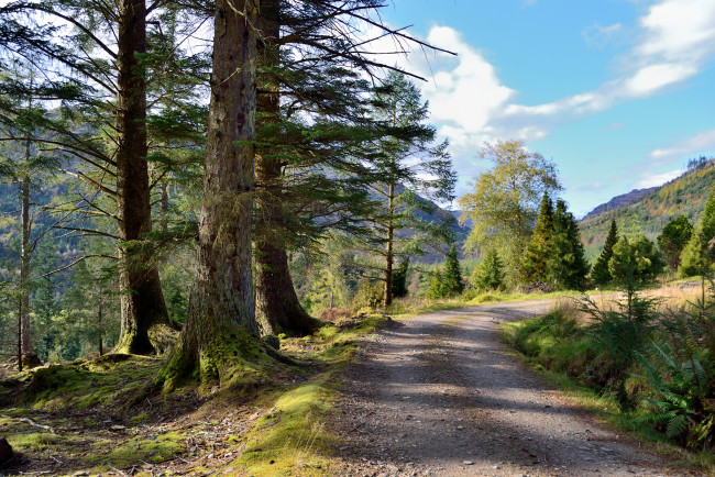 Обои картинки фото природа, дороги, простор