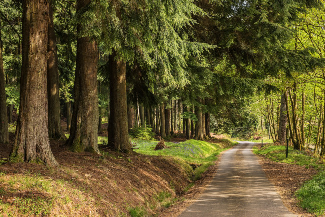 Обои картинки фото природа, дороги, простор