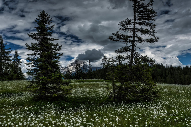 Обои картинки фото природа, пейзажи, простор