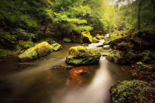 Обои картинки фото природа, реки, озера, лес, река, камни, мох, начало, осени, екатерина, ионенко