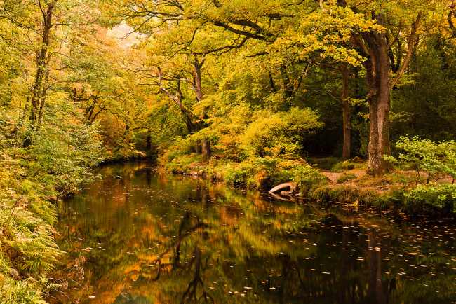 Обои картинки фото природа, реки, озера, простор