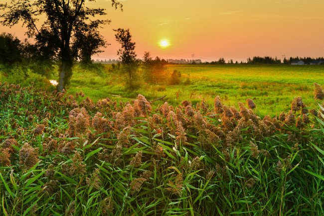 Обои картинки фото природа, восходы, закаты, простор