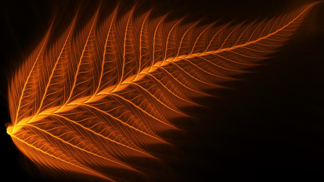 Обои картинки фото 3д графика, фракталы , fractal, цвет, фон, узор