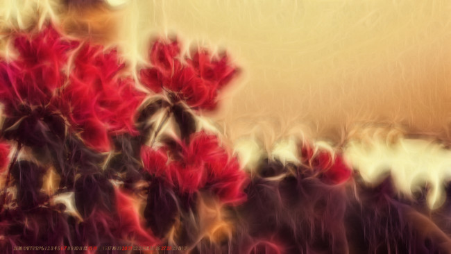 Обои картинки фото календари, компьютерный дизайн, цветы