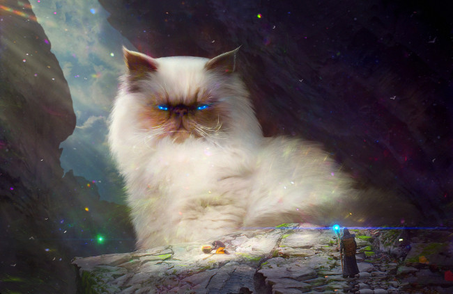 Обои картинки фото фэнтези, иные миры,  иные времена, люди, божество, кот, фон