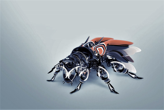 Обои картинки фото 3д графика, животные , animals, насекомое