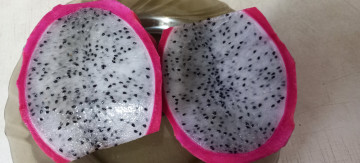 обоя еда, питахайя, экзотический, фрукт