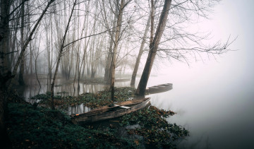 обоя корабли, лодки,  шлюпки, деревья, туман, озеро, берег, осень