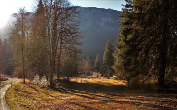 Картинка природа горы деревья туман поля дорога