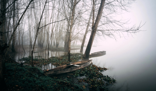 Обои картинки фото корабли, лодки,  шлюпки, деревья, туман, озеро, берег, осень
