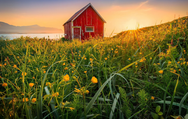 Обои картинки фото города, - здания,  дома, река, луг, цветы, дом