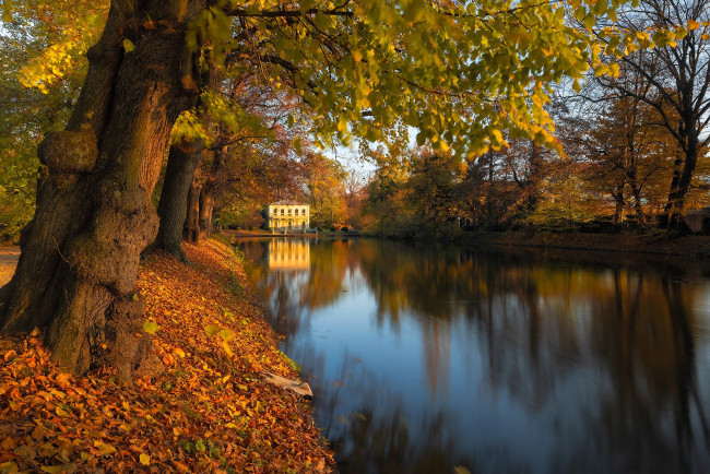 Обои картинки фото города, - здания,  дома, дом, особняк, пруд, парк, деревья, листья, осень