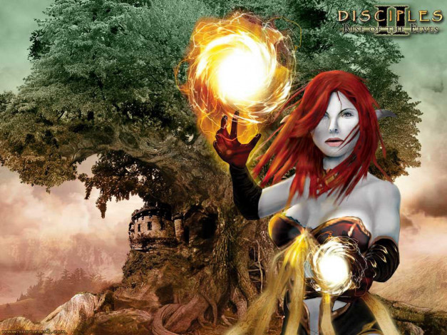 Обои картинки фото видео, игры, disciples, ii, rise, of, the, elves