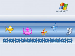 Картинка компьютеры windows xp
