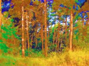 Картинка рисованные природа