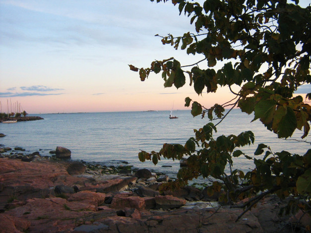 Обои картинки фото 