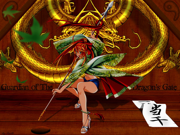 Обои картинки фото аниме, ikki, tousen