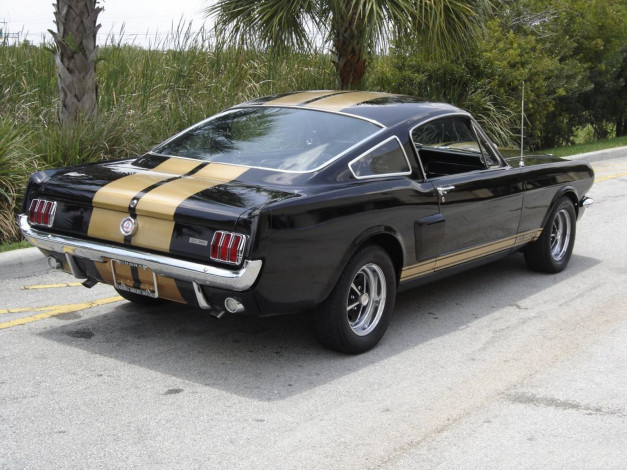 Обои картинки фото автомобили, mustang