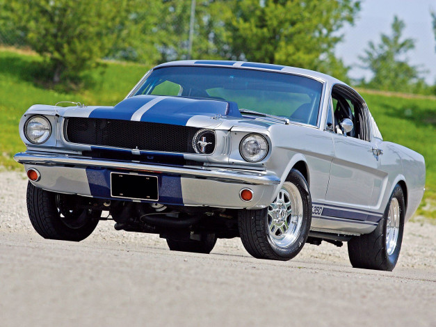 Обои картинки фото автомобили, mustang