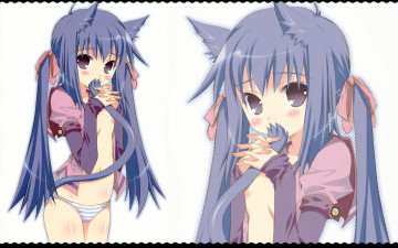 Картинка аниме animals