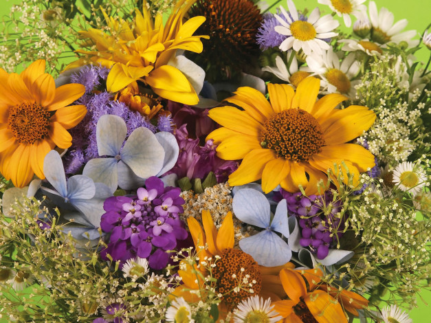 Обои картинки фото цветы, разные, вместе