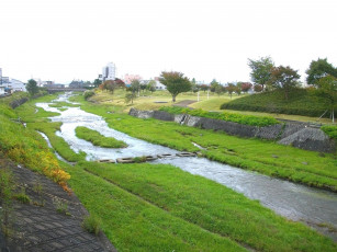 Картинка природа реки озера деревья трава река