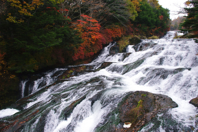 Обои картинки фото природа, реки, озера, вода, камни, деревья