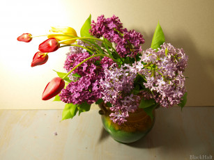 Картинка цветы разные вместе сирень