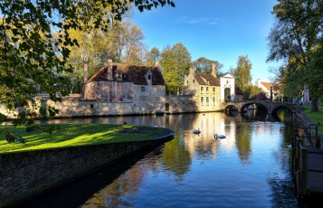 Картинка города брюгге бельгия лебеди