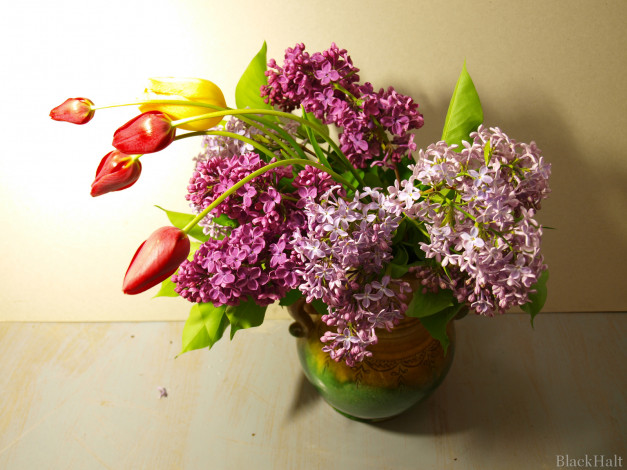 Обои картинки фото цветы, разные, вместе, сирень