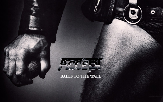 Обои картинки фото accept, музыка, группа, диск, альбом