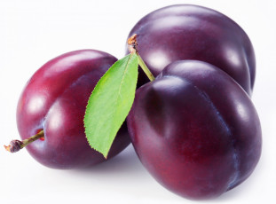 Картинка еда персики сливы абрикосы три листик