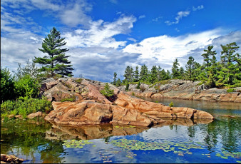 Картинка природа побережье камни лес берег море тучи