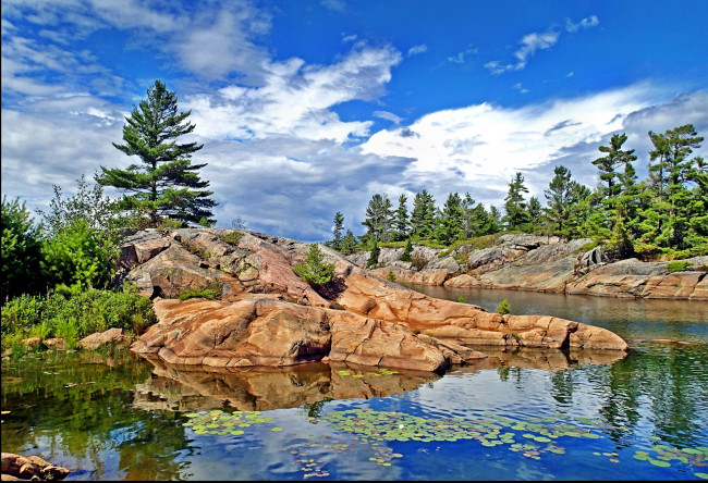 Обои картинки фото природа, побережье, камни, лес, берег, море, тучи