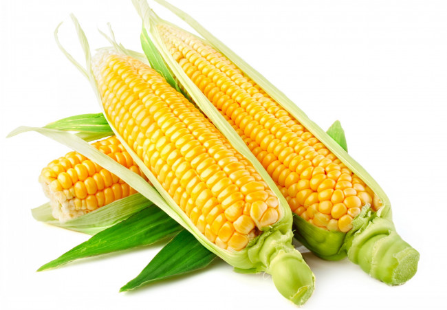 Обои картинки фото еда, кукуруза, листья, зерна, початки