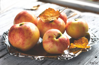 Картинка еда Яблоки листья ветки яблоки