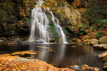 Картинка природа водопады лес река водопад