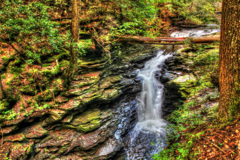 Картинка природа водопады река лес водопад