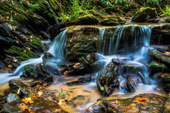 Картинка природа водопады река лес водопад