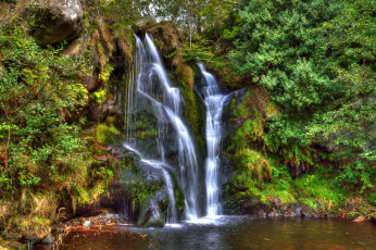 Картинка природа водопады река лес водопад