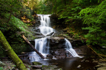Картинка природа водопады водопад река лес