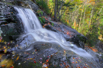 Картинка природа водопады водопад река лес