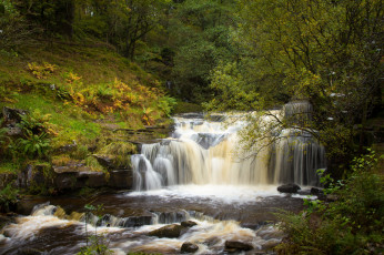 Картинка природа водопады водопад река лес
