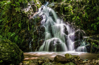 Картинка природа водопады лес река водопад