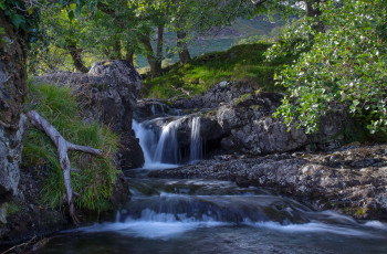 Картинка природа водопады водопад лес река