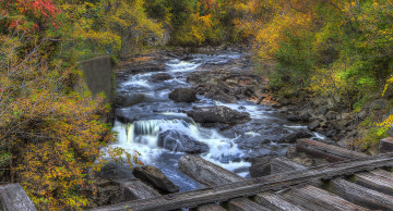 Картинка природа водопады водопад лес река