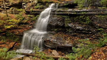 Картинка природа водопады лес водопад река